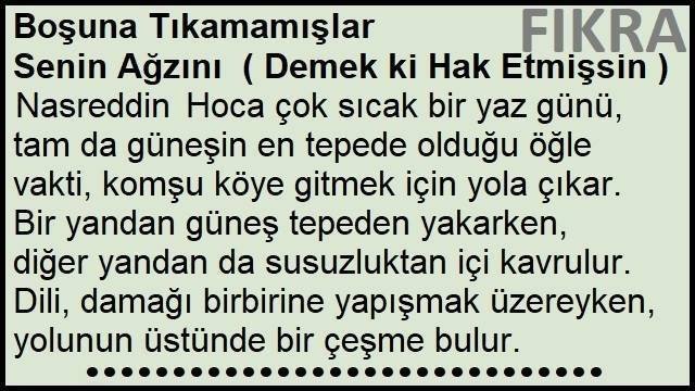 Boşuna Tıkamamışlar Senin Ağzını Fıkrası | Demek ki Hak Etmişsin Fıkrası
