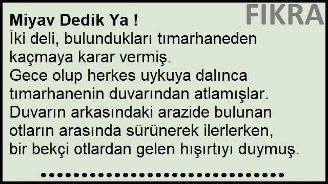 Miyav Dedik Ya ! Fıkrası | Kedi Taklidi Yapan Deli Fıkrası