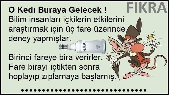 O Kedi Buraya Gelecek ( Fareye Rakı İçirmişler ) Fıkrası