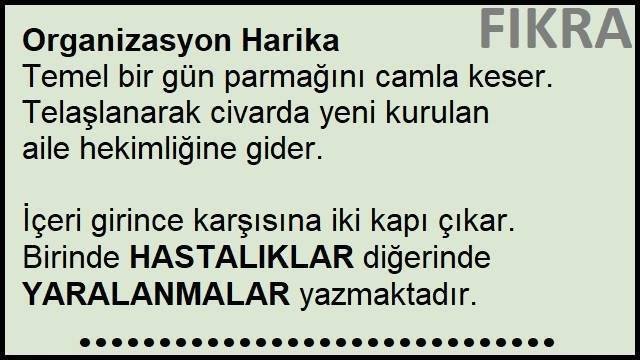 Organizasyon Harika Fıkrası