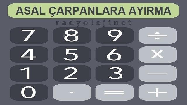 Asal Çarpanlara Ayırma Hesaplama Aracı - Asal Çarpan Hesaplama Aracı