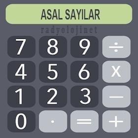 Asal Sayı Hesaplama Aracı - Asal Sayı Bulma Aracı
