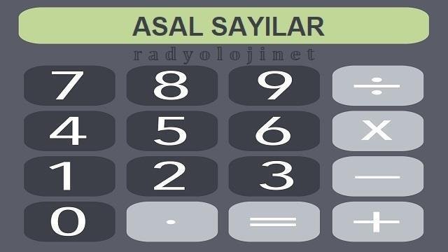 Asal Sayı Hesaplama Aracı - Asal Sayı Bulma Aracı