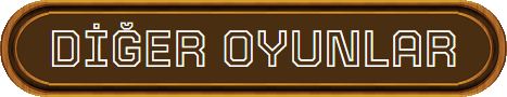 Diğer Oyunlar