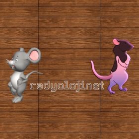 Kediler İçin Fare Yakalama Oyunu | Fareli Kedi Oyunu