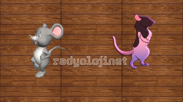 Kediler İçin Fare Yakalama Oyunu | Fareli Kedi Oyunu