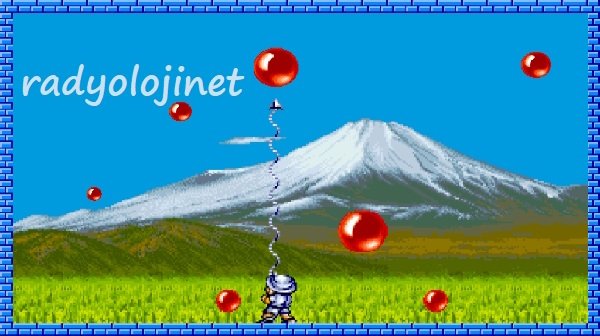 Pang 🕹️ Oyunu Oyna