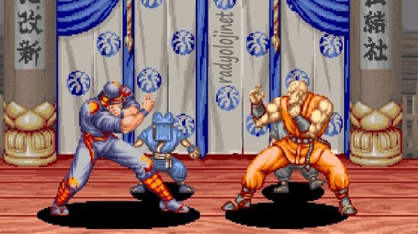 Power Instinct 🕹️ Oyunu Oyna