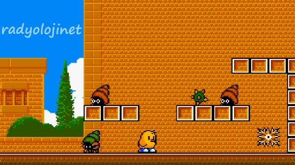 The NewZealand Story 🕹️ Oyunu Oyna