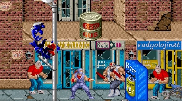 Ninja Ryukenden 🕹️ Oyunu Oyna