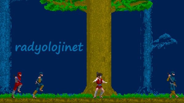 The Legend Of Kage 🕹️ Oyunu Oyna