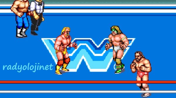 WWF Superstars 🕹️ Oyunu Oyna