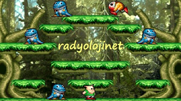 Snow Brothers 3 🕹️ Oyunu Oyna