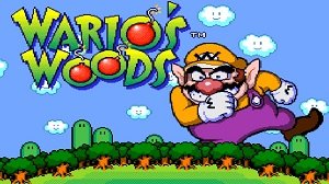 Wario's Woods