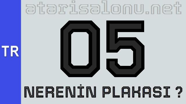 05 Nerenin Plakası ?