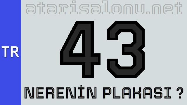 43 Nerenin Plakası ?